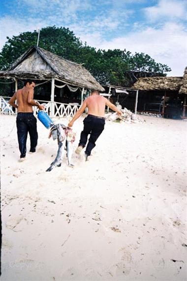 Die Strände auf Cayo Coco,_UW 06_33_B720